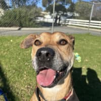 Photo of Ripley