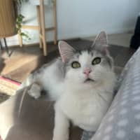 Photo of Hattie