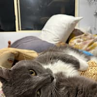 Photo of Winston