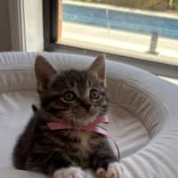 Photo of Minnie