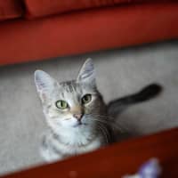 Photo of Blondie 🩷 