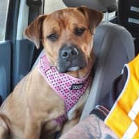 Photo of Skye Peggotty