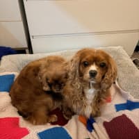 Photo of Tasha