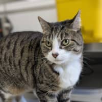 Photo of 💎 Princess 6520 💎