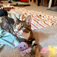 Photo of Moe   Located In Brunswick West