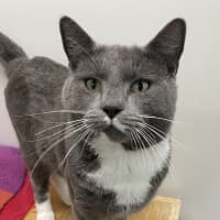 Photo of Reg
