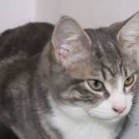 Photo of Skippy N Siggy 