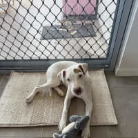 Photo of Max