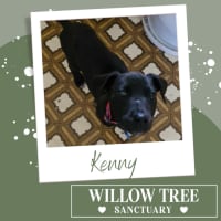 Photo of Kenny