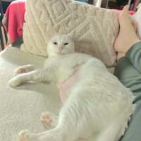 Photo of Billy 