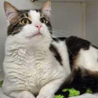 Photo of Manny