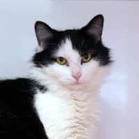 Photo of Scarlett Rsta014090