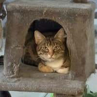 Photo of Bell