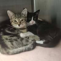 Photo of Andre And Gabby