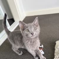 Photo of Harley & Harper