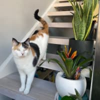 Photo of Chanel And Dolce