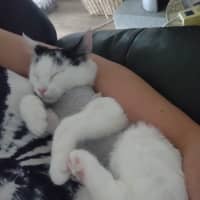 Photo of Pixie