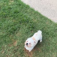 Photo of Marvin