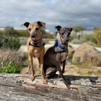 Photo of Bastian And Pippa