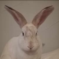 Photo of Adorable Piotr