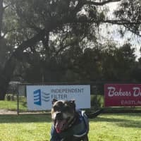 Photo of Melbourne Symphony Snore Chestra