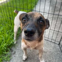 Photo of (Dot &) Dash