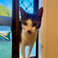 Photo of Esmeralda