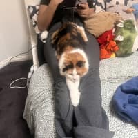 Photo of Miss Sassy Pants