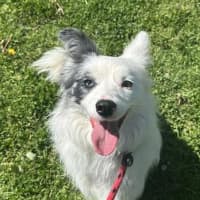 Photo of Molly