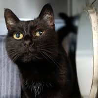 Photo of Maisey Now Macey