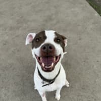 Photo of Xena 