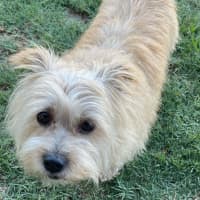 Photo of Milly