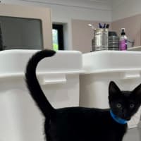 Photo of Adam (9992)