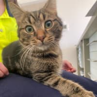 Photo of Catrick Swayze