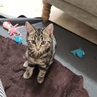 Photo of Squeak