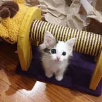 Photo of Mimi