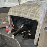 Photo of Luca
