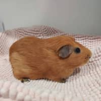Photo of Barry