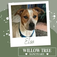 Photo of Elsa