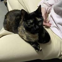 Photo of Kallie 🍃💕