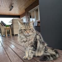 Photo of Jax