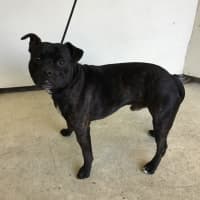 Photo of Turbo