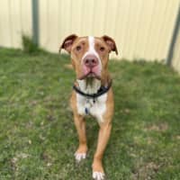 Photo of Wally