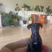 Photo of Gracie