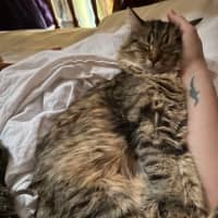 Photo of Penelope & Marshmellow 