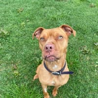 Photo of Gimmo Doolan