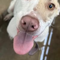 Photo of Ms Marshmellow Squishy Bum ( Marsha For Short)