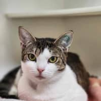 Photo of 🧵 Odie 5860 🧵