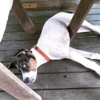 Photo of Alira