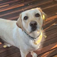 Photo of Hayleywaley